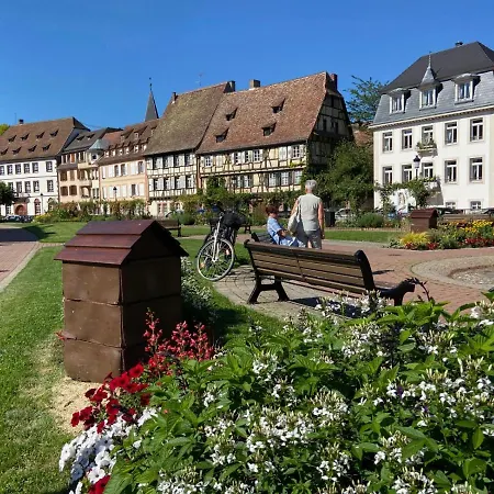 Studio Le Pied De Boeuf Wissembourg Exterior photo